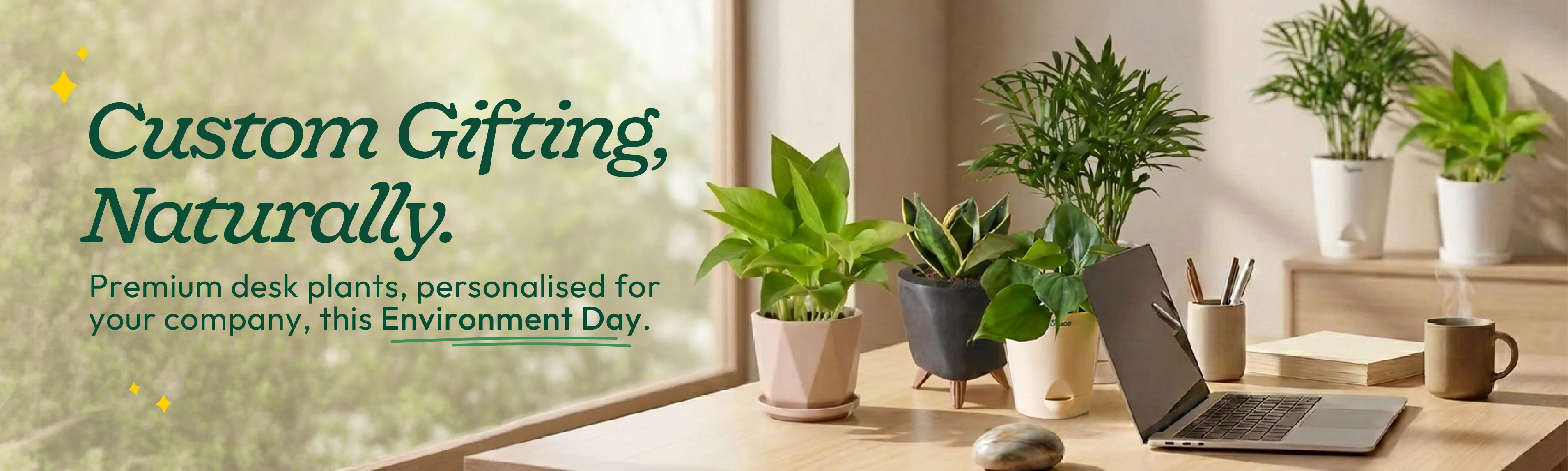 Bring Your Home to Life