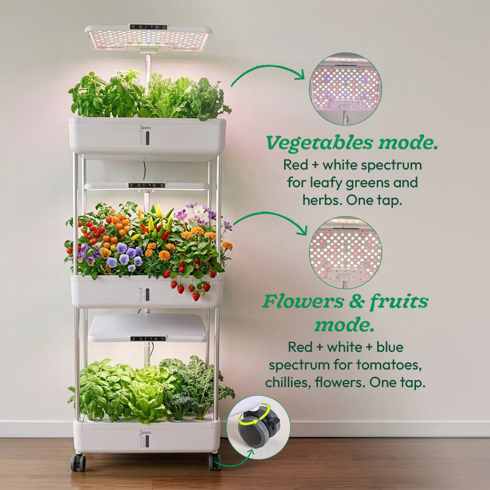 3-Tier Hydroponic Growing System with LED Grow Light - Image 3