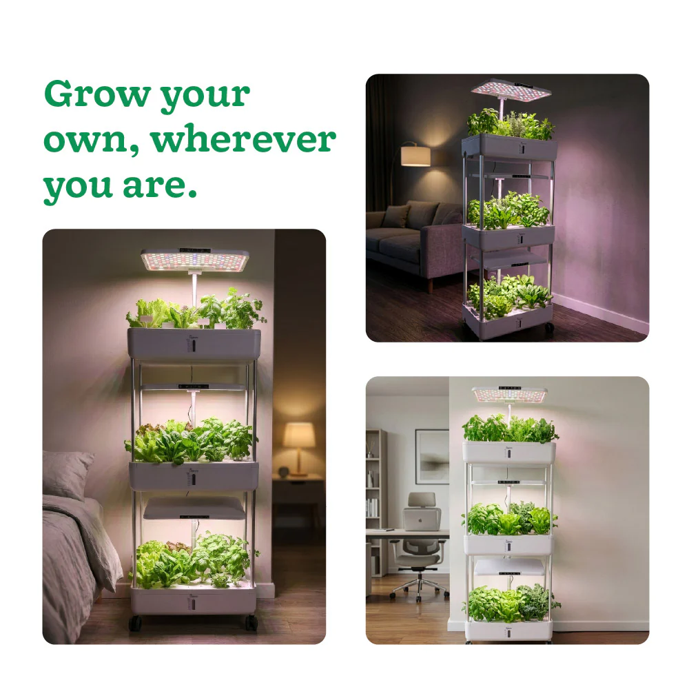 3-Tier Hydroponic Growing System with LED Grow Light - Image 7