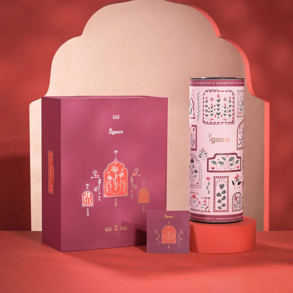 Abundance Diwali Gift Hamper - Image 8