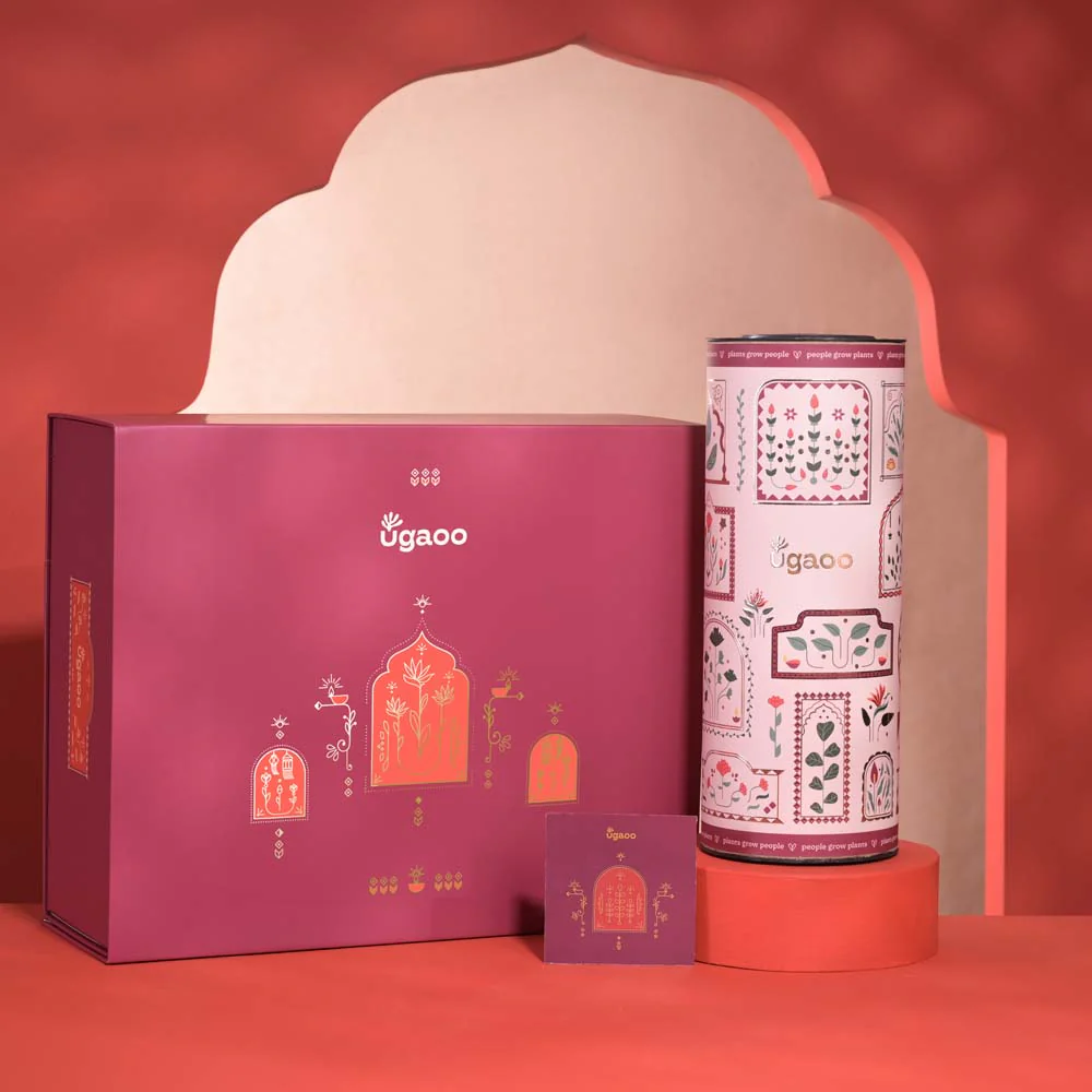Abundance & Joy Diwali Gift Hamper - Image 7