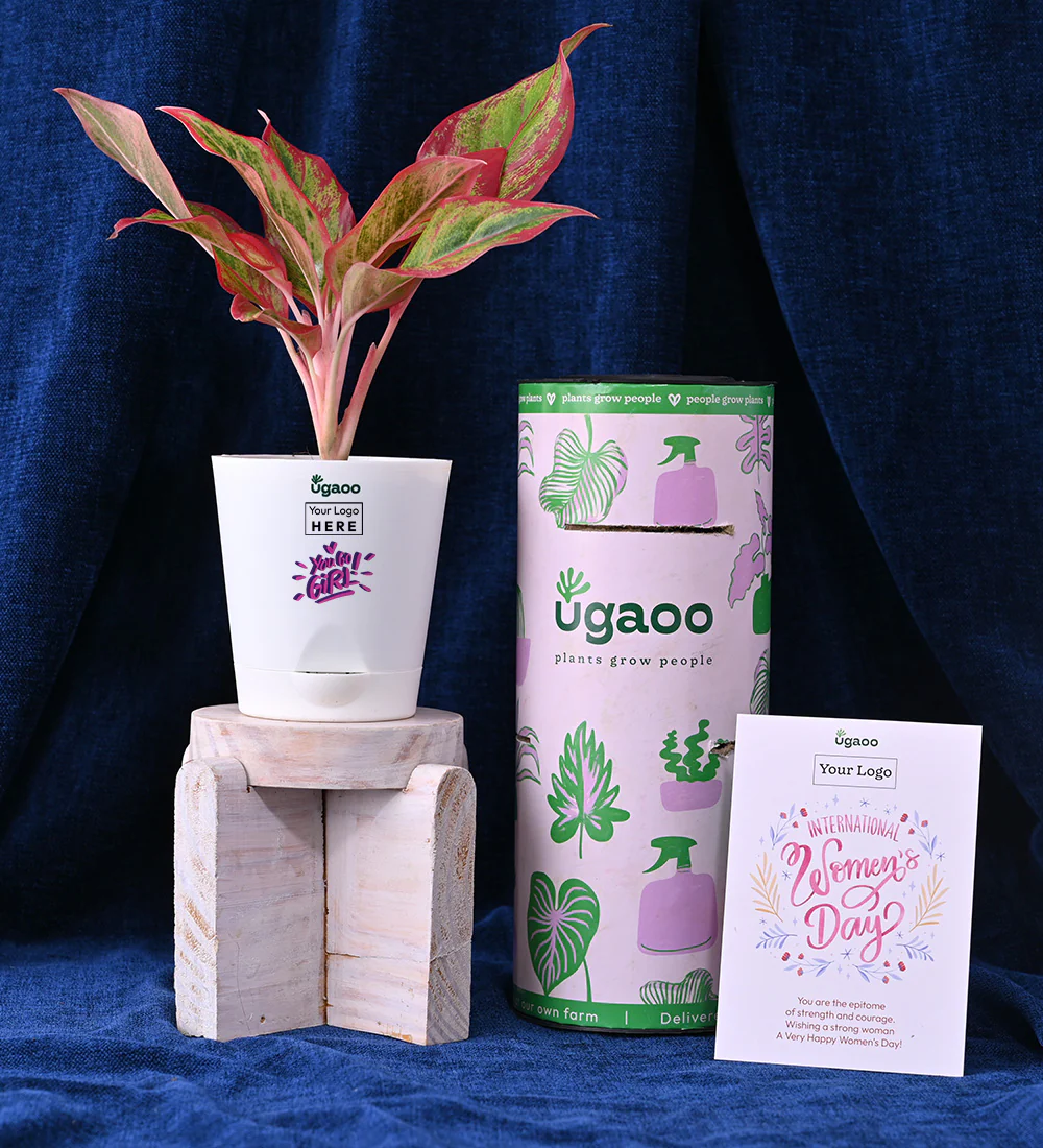 Aglaonema Red with LED Display Temperature Thermal Cup - Image 4