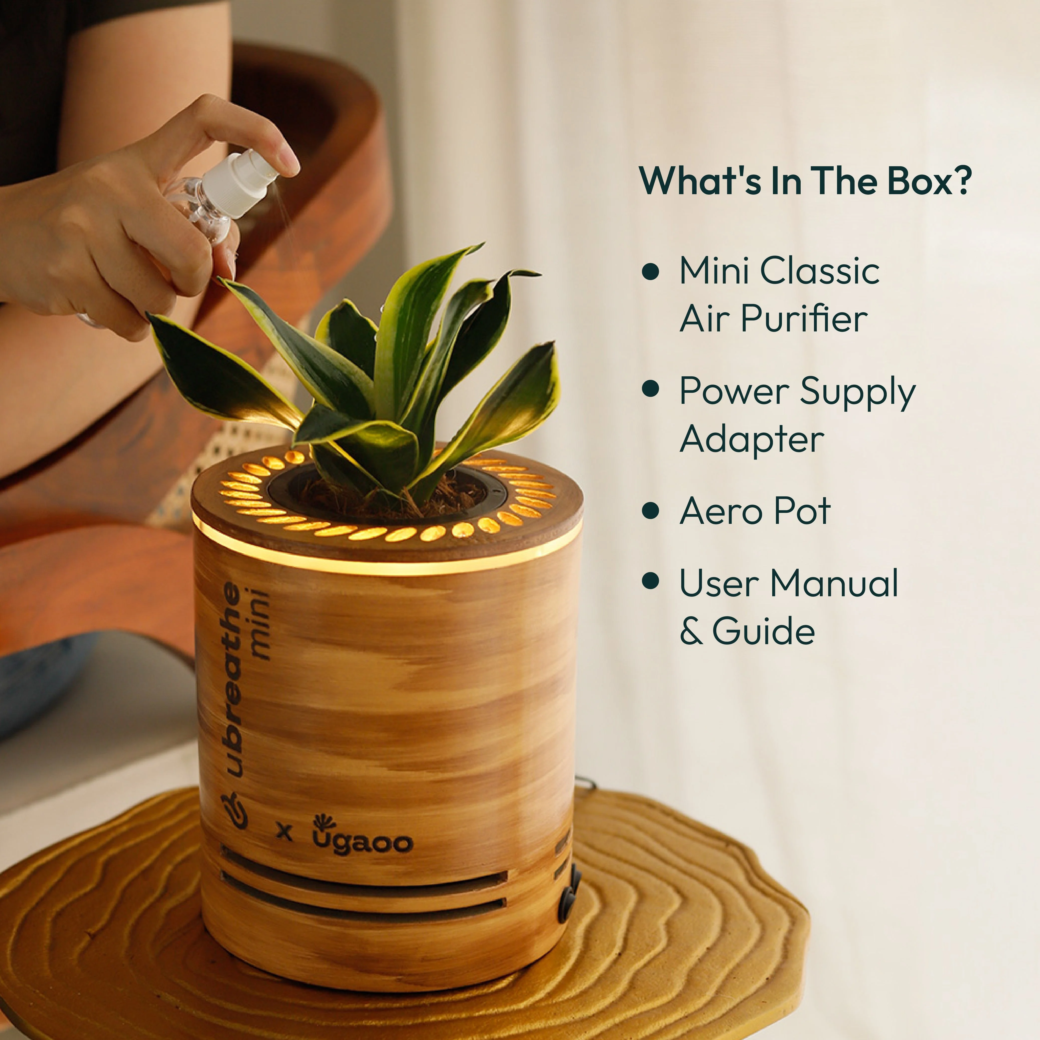 Mini Classic - Air Purifier for Home - Image 3