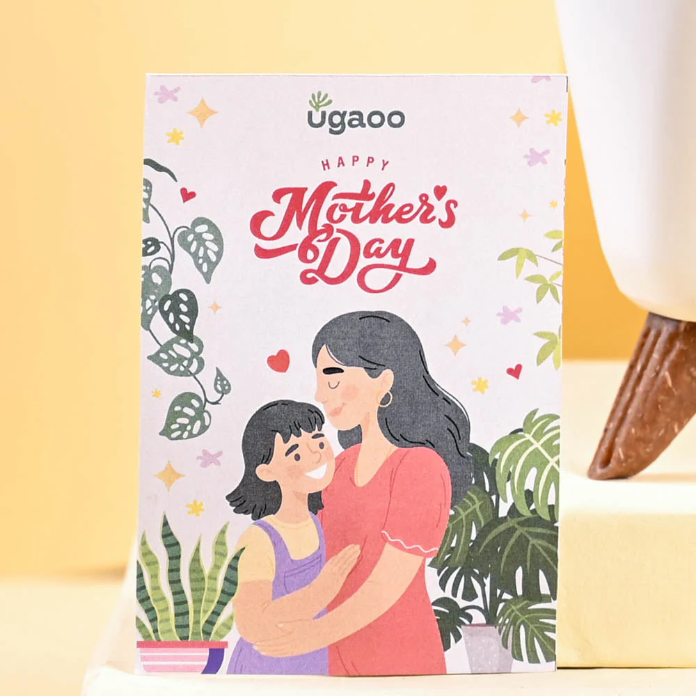 Aloe Vera Green Mini For Mother's Day Gifting - Image 2