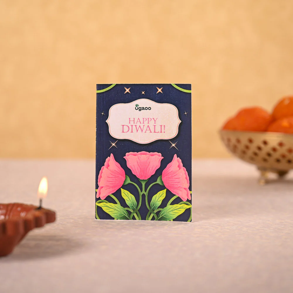 Aloe Vera Mini Plant & Phool Diwali Gift Hamper - Image 4