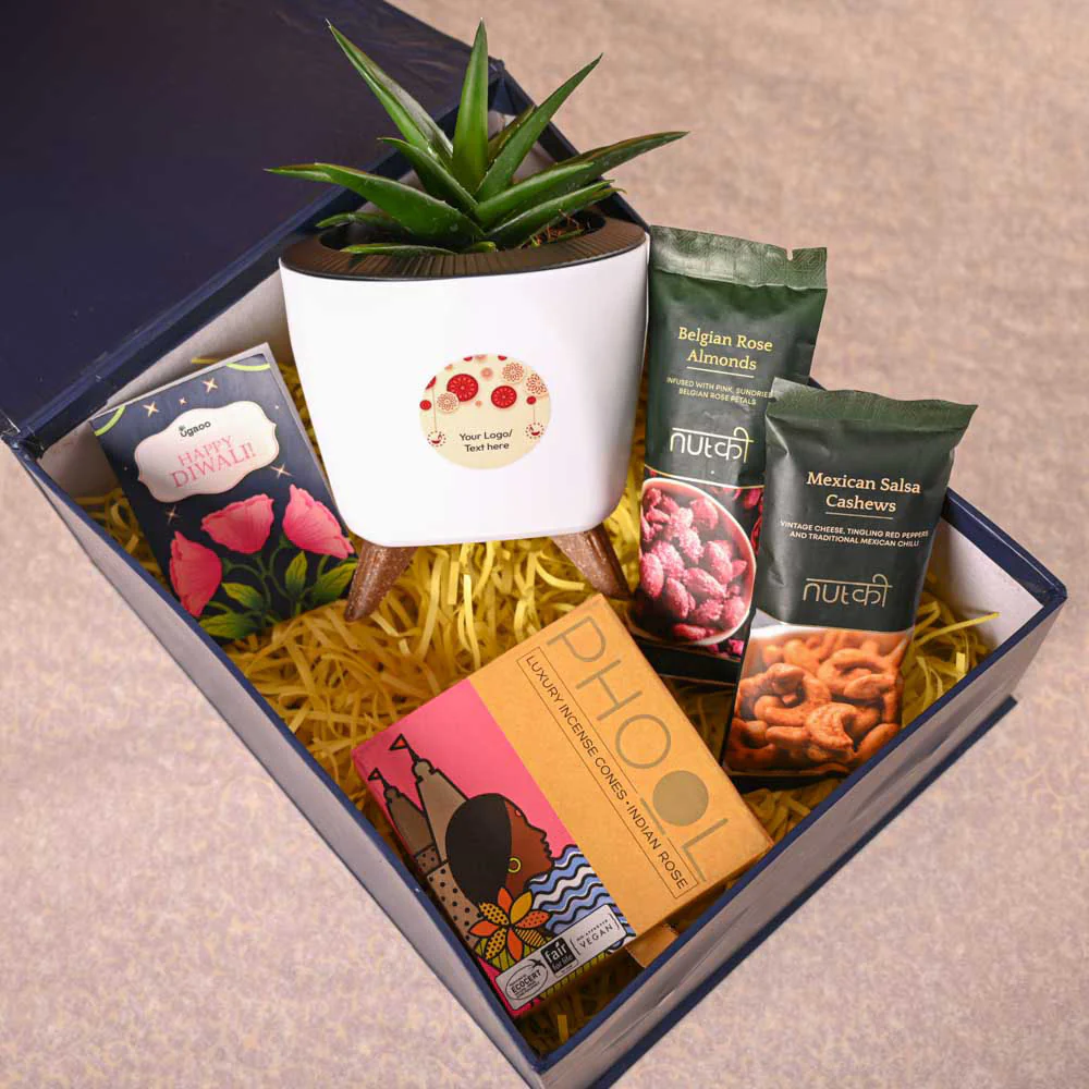Aloe Vera Mini Plant & Phool Diwali Gift Hamper - Image 7