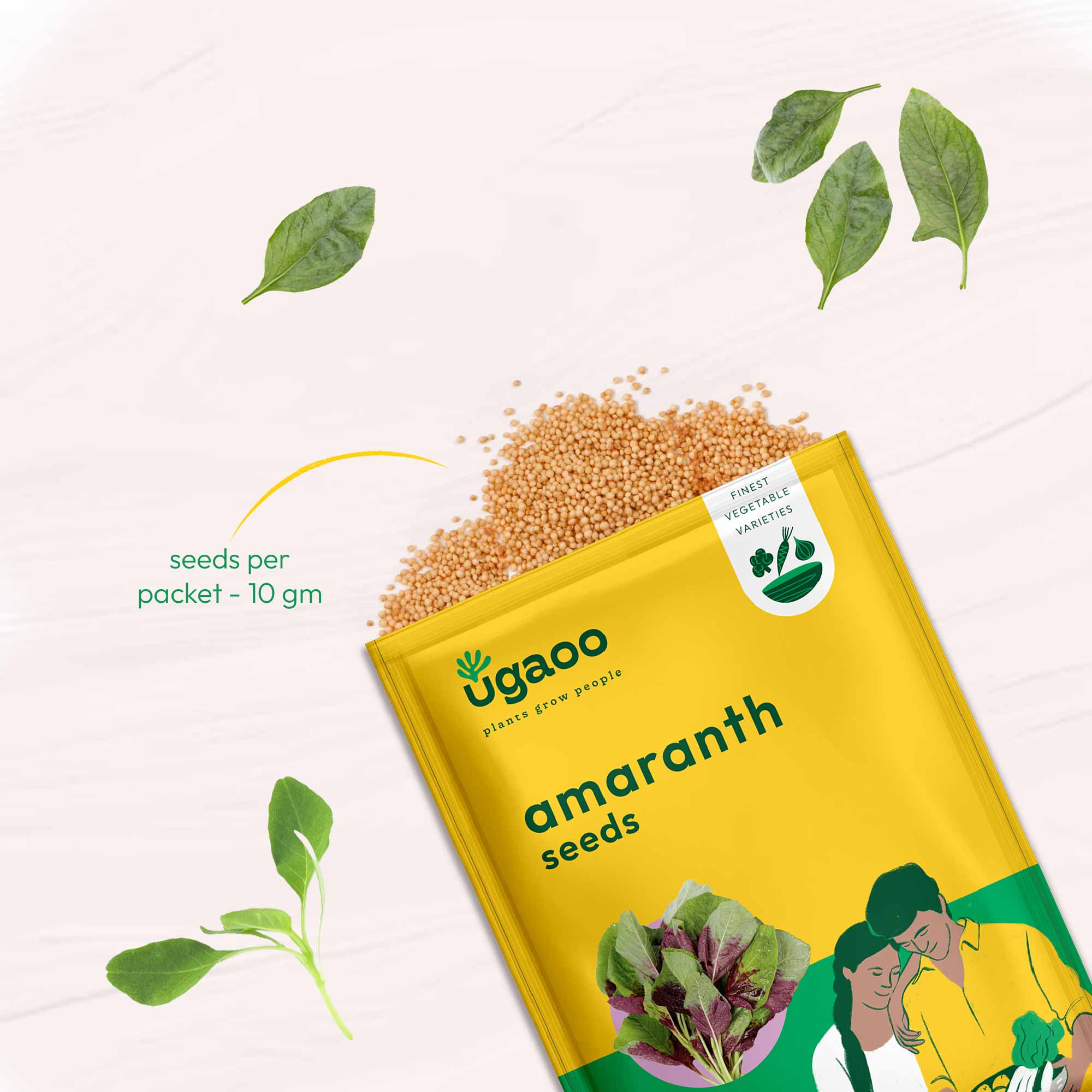 Amaranth Seeds (Chawli Bhaji) - Image 2