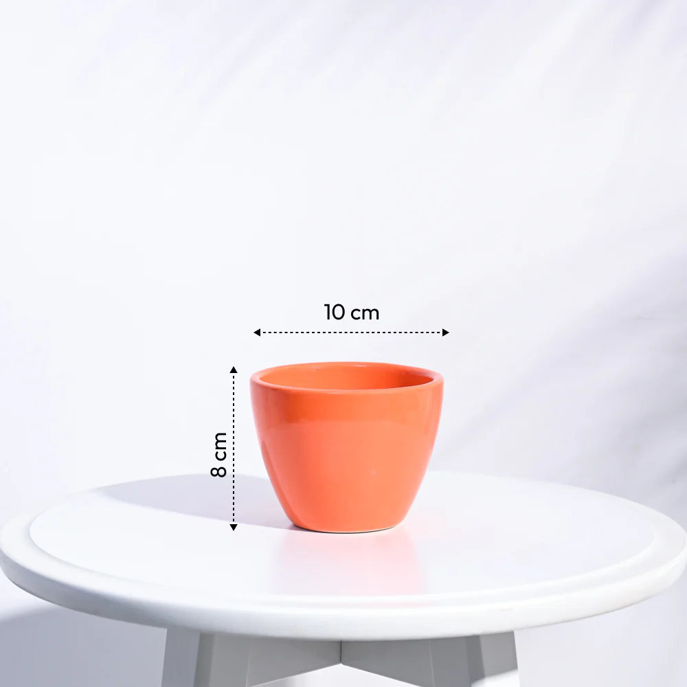 Apple Ceramic Pot (3.8 Inch Diameter) - Image 15