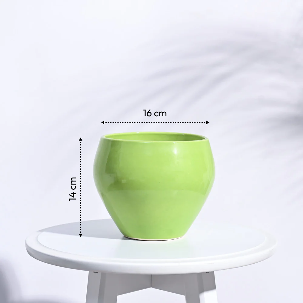 Apple Ceramic Pot (6.6 Inch Diameter) - Image 12