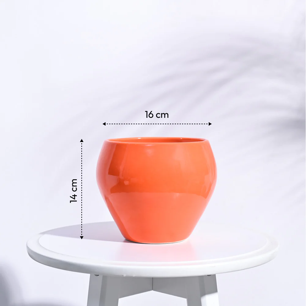 Apple Ceramic Pot (6.6 Inch Diameter) - Image 17