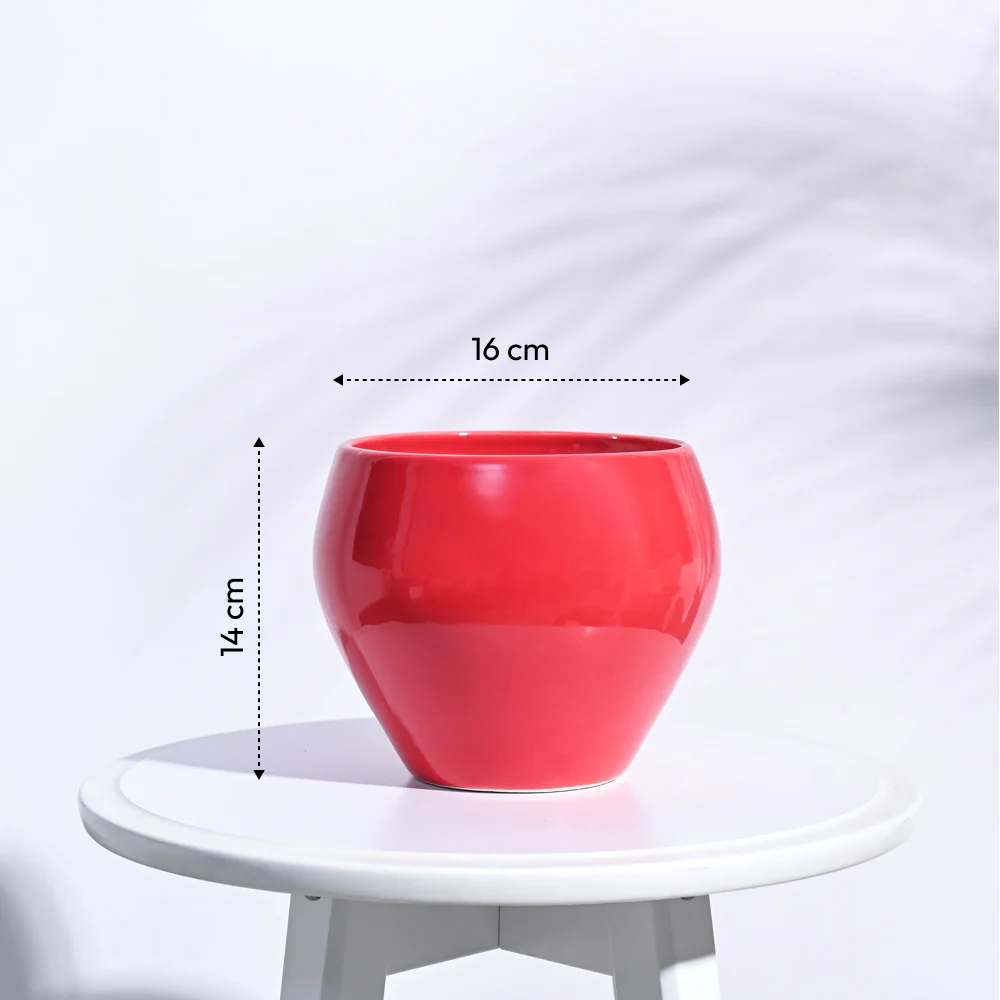 Apple Ceramic Pot (6.6 Inch Diameter) - Image 22