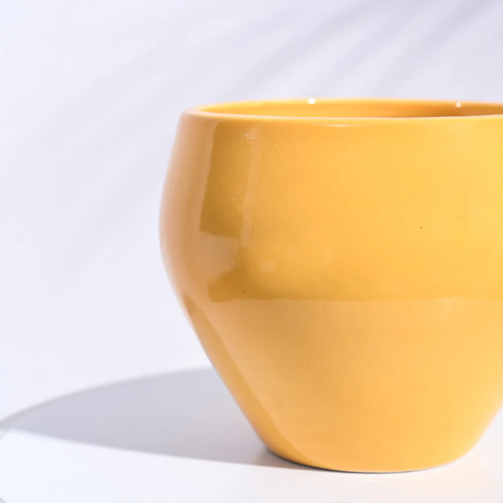 Apple Ceramic Pot (6.6 Inch Diameter) - Image 34