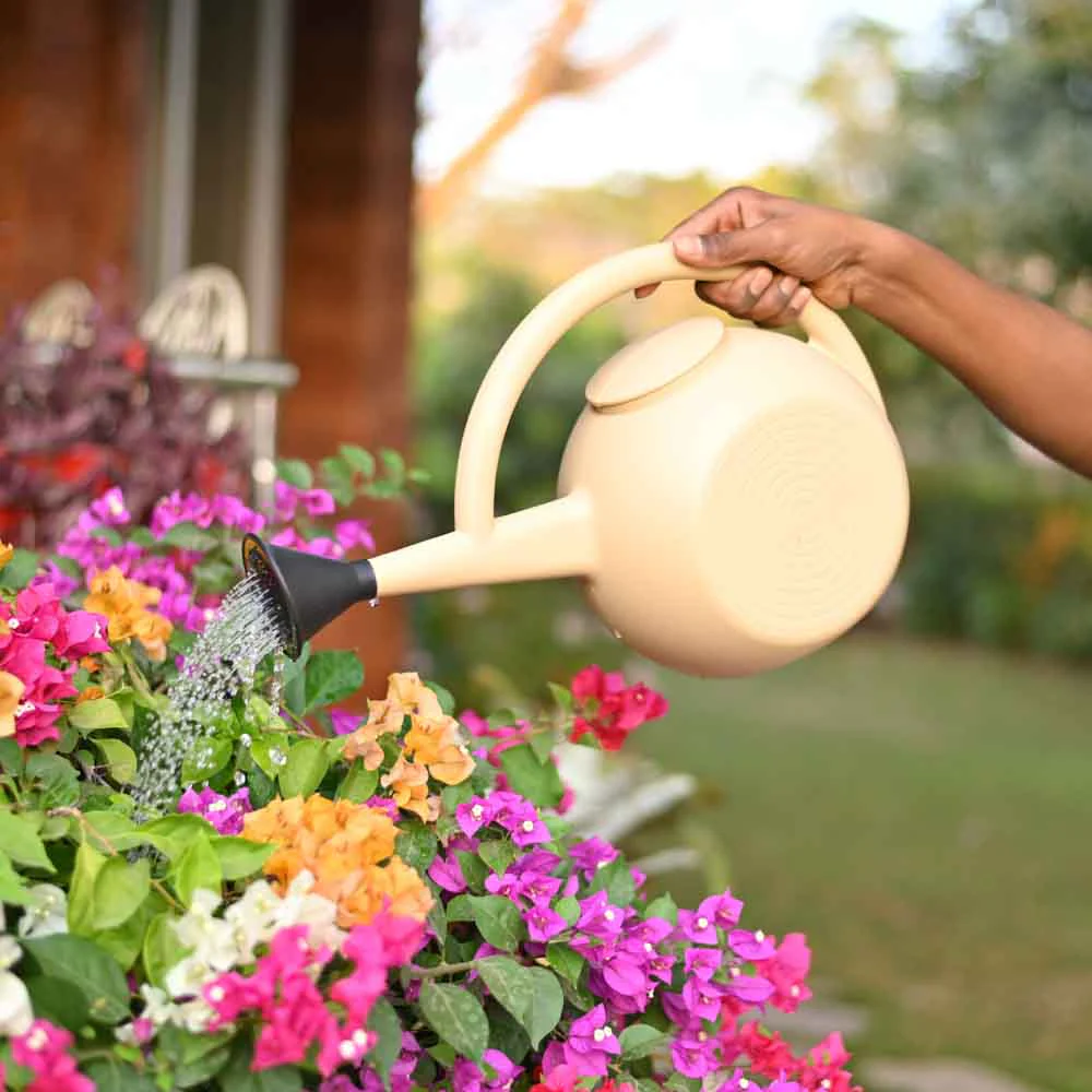 Premium Garden Watering Can For Plants 5 Litre - Image 3