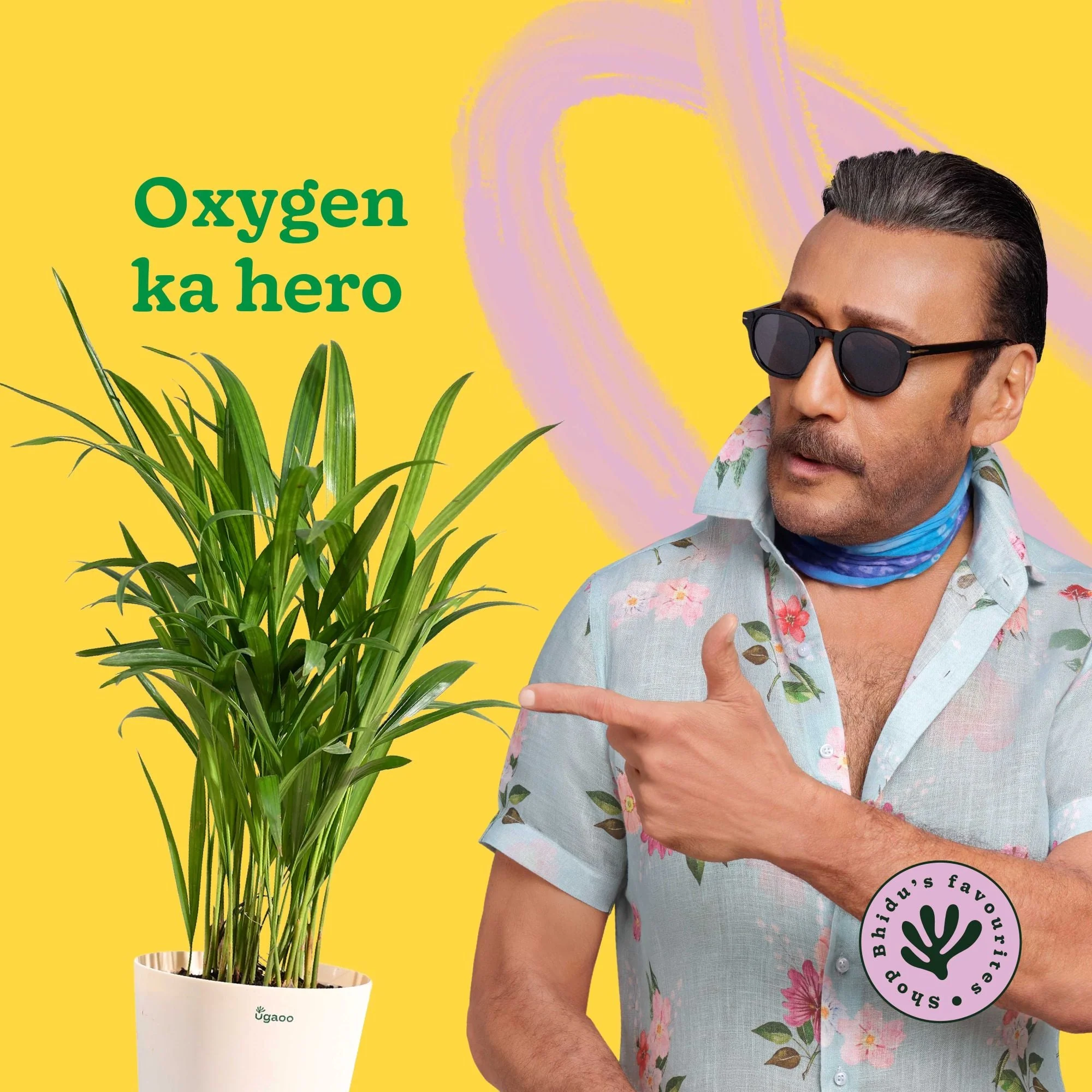 Areca Palm Plant with Self Watering Pot - Image 2