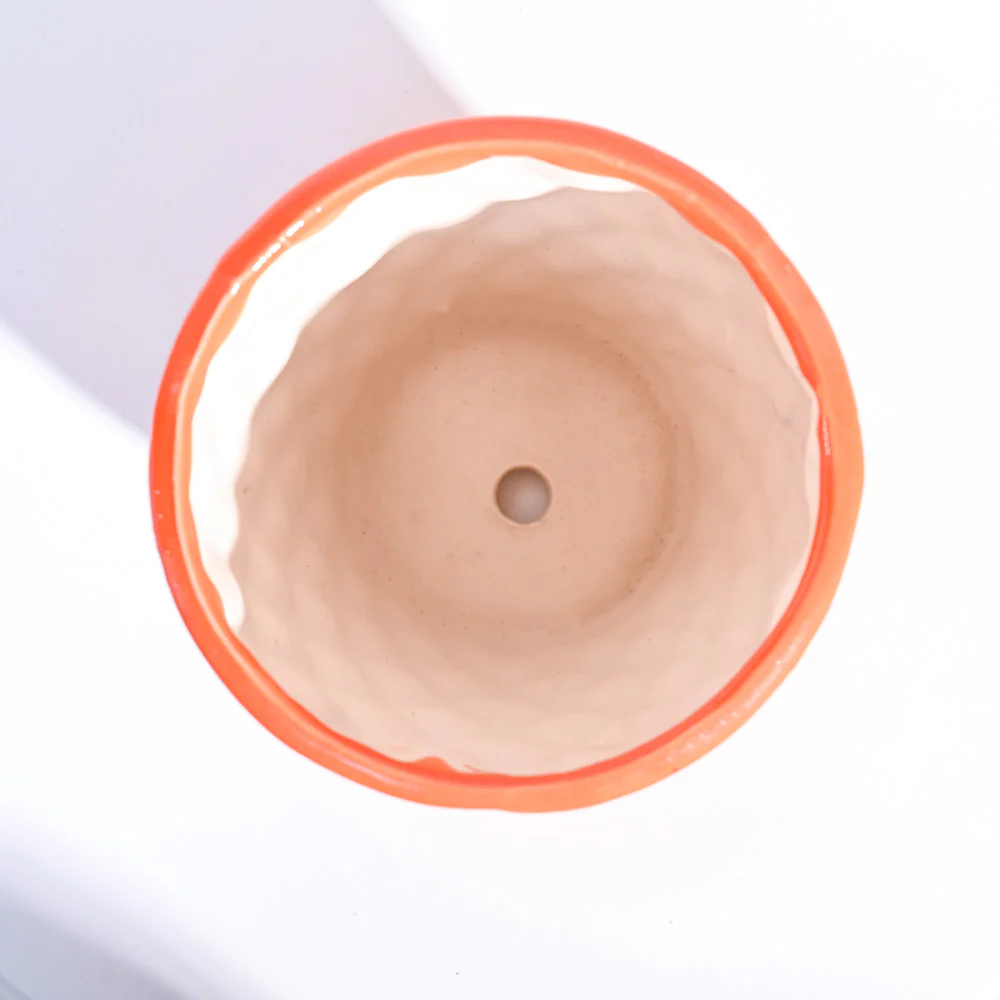 Argyle Ceramic Pot (6.2 Inch Diameter) - Image 12