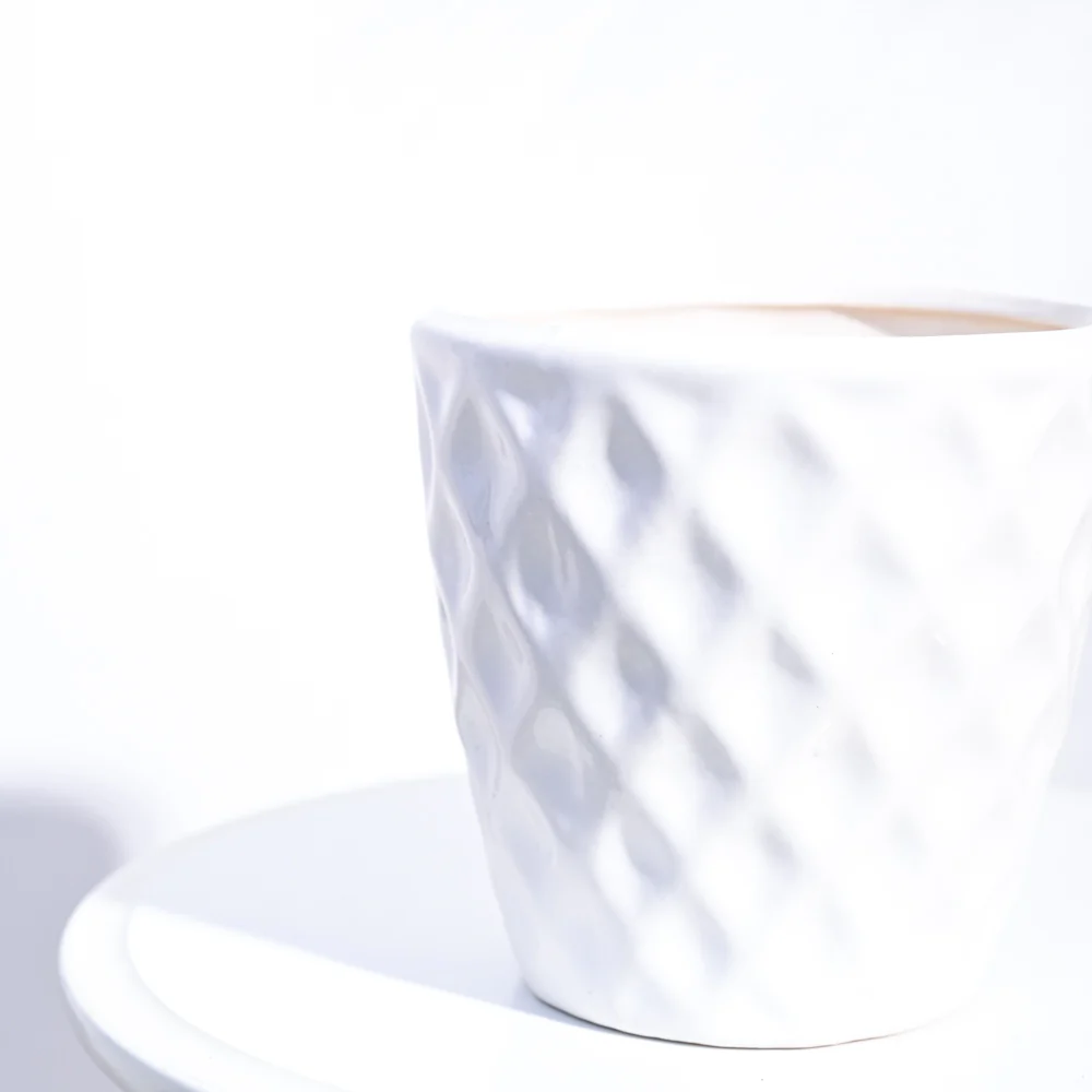 Argyle Ceramic Pot (6.2 Inch Diameter) - Image 18