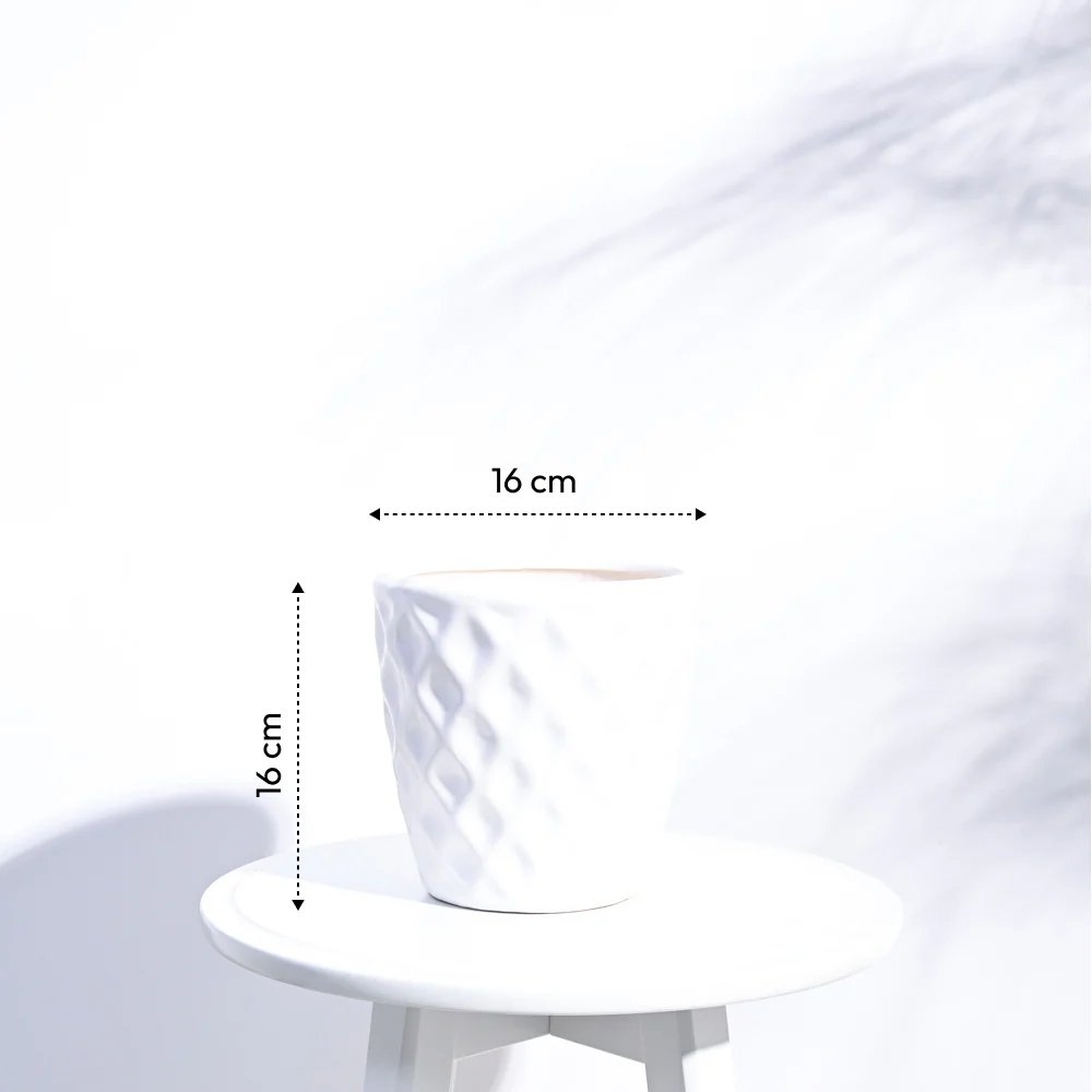 Argyle Ceramic Pot (6.2 Inch Diameter) - Image 19