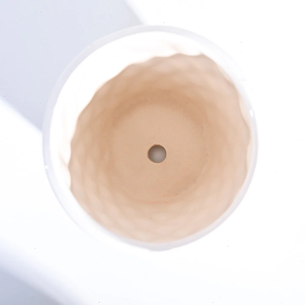 Argyle Ceramic Pot (6.2 Inch Diameter) - Image 20