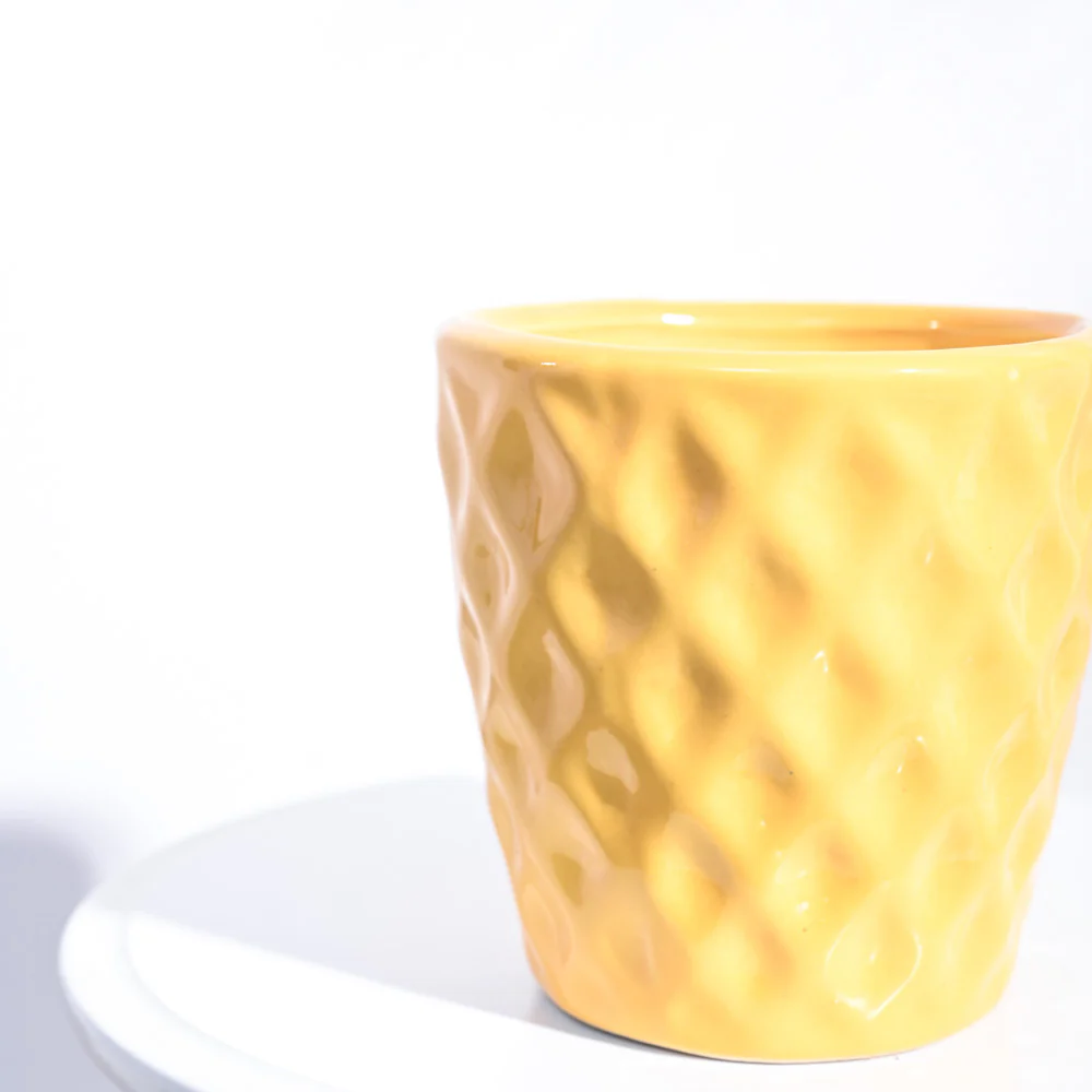 Argyle Ceramic Pot (6.2 Inch Diameter) - Image 22
