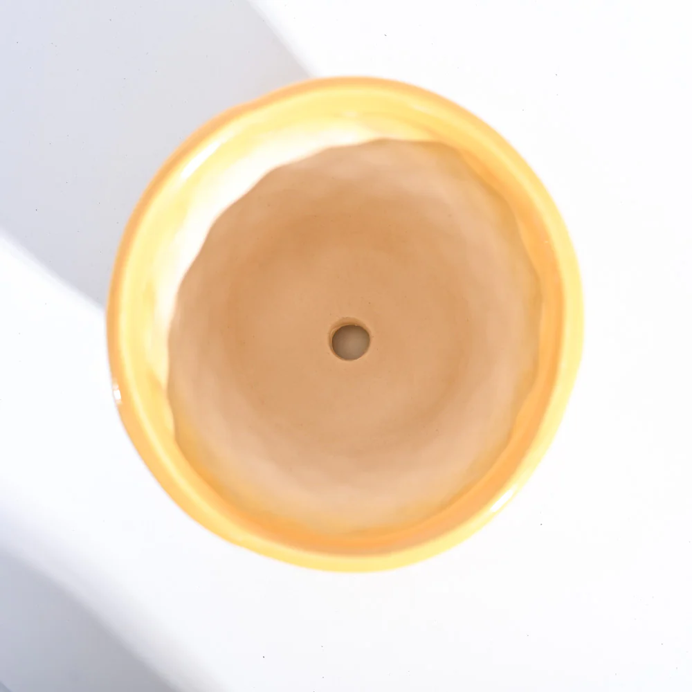 Argyle Ceramic Pot (6.2 Inch Diameter) - Image 24