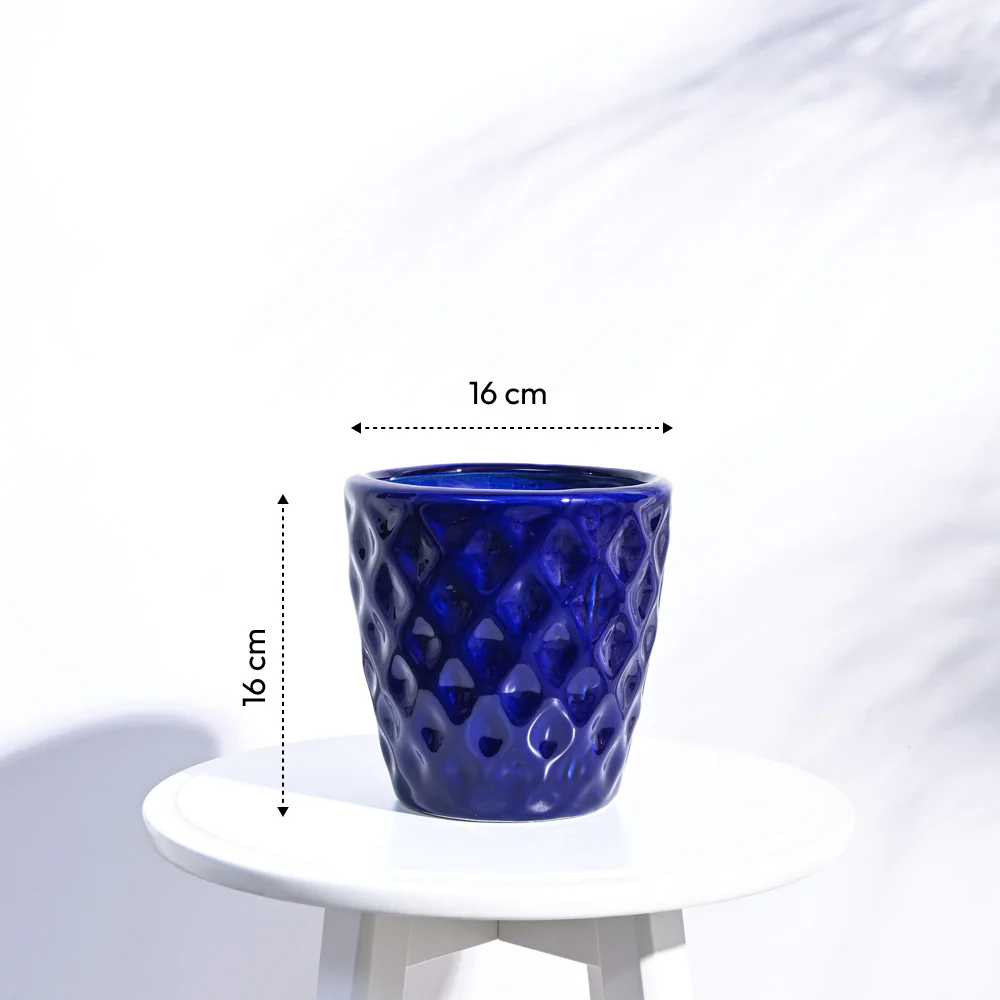 Argyle Ceramic Pot (6.2 Inch Diameter) - Image 3