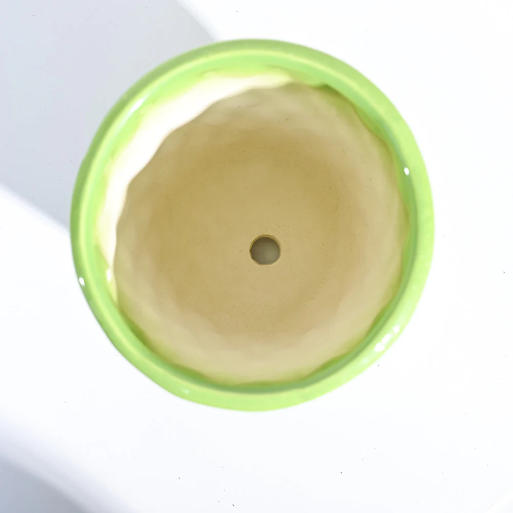 Argyle Ceramic Pot (6.2 Inch Diameter) - Image 8