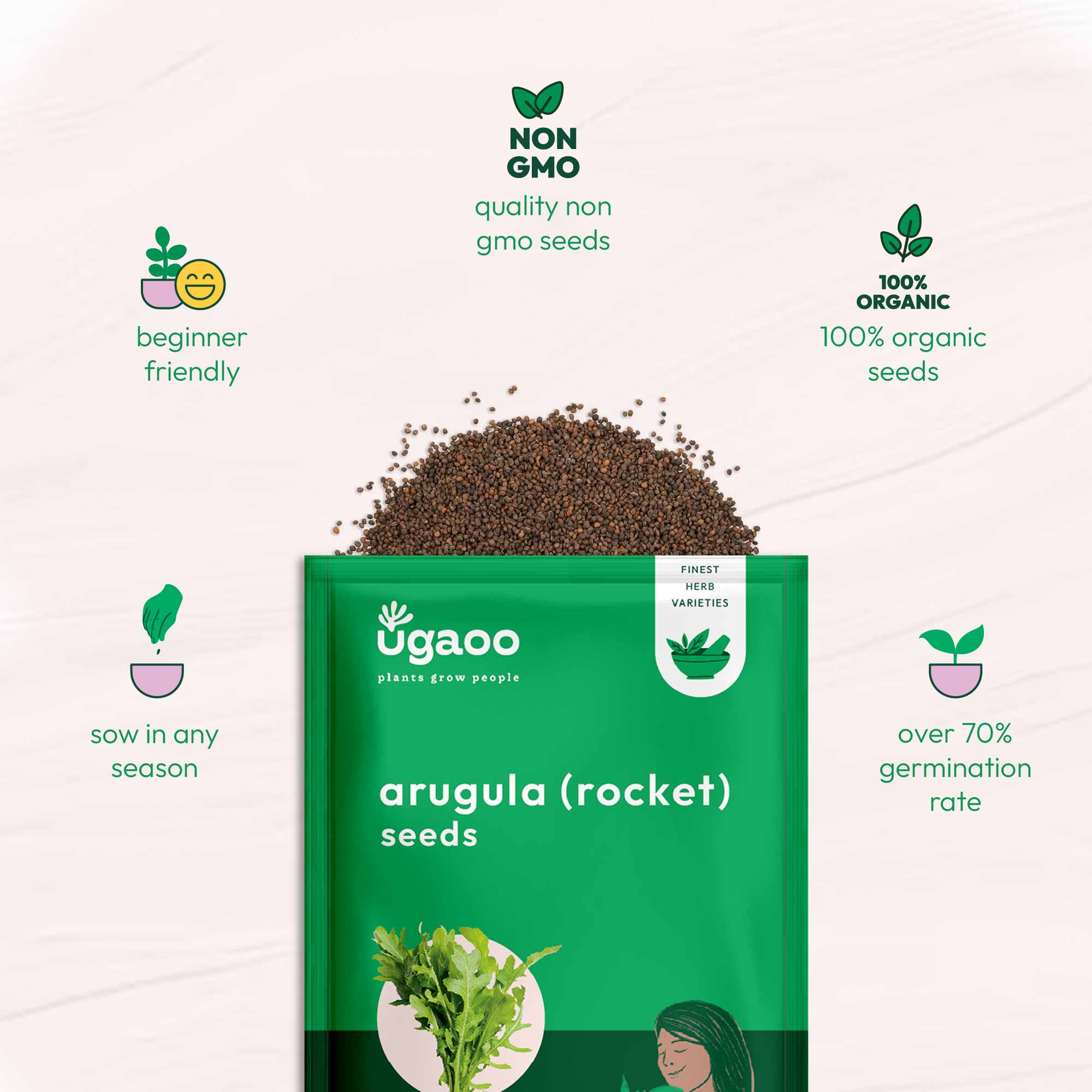 Arugula Seeds (Rocket Leaves) - Image 6