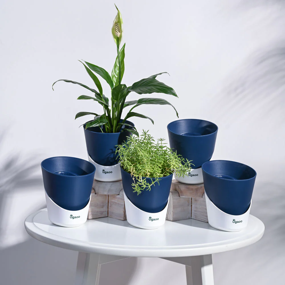 Atlantis Self Watering Planter - 4 Inch (Set of 5) - Image 7