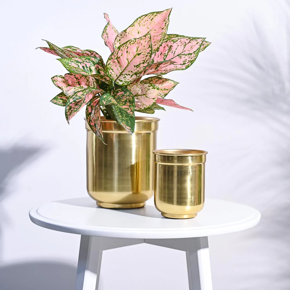 Aurelian Cylindrical Planter