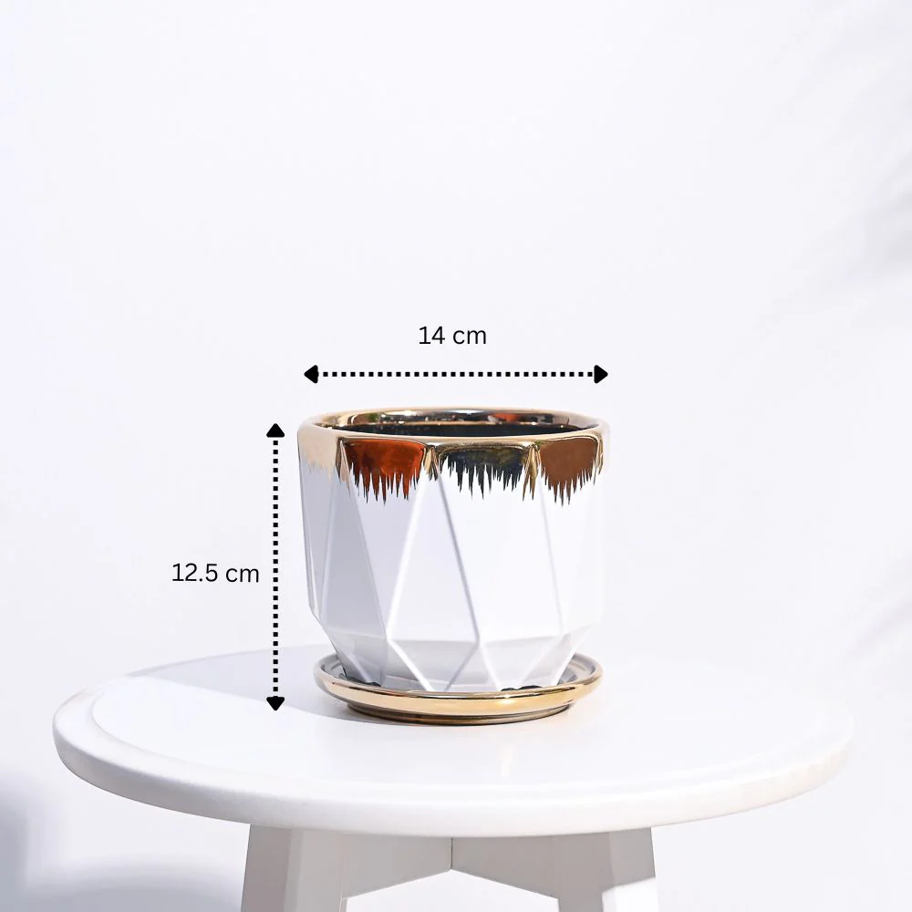 Aurelius Prism Ceramic Pot - Image 12