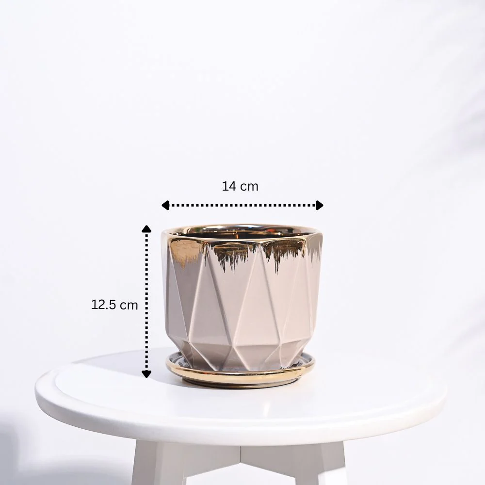 Aurelius Prism Ceramic Pot - Image 3