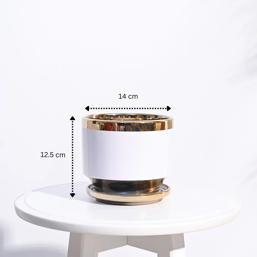 Aurelius Round Ceramic Pot - Image 13