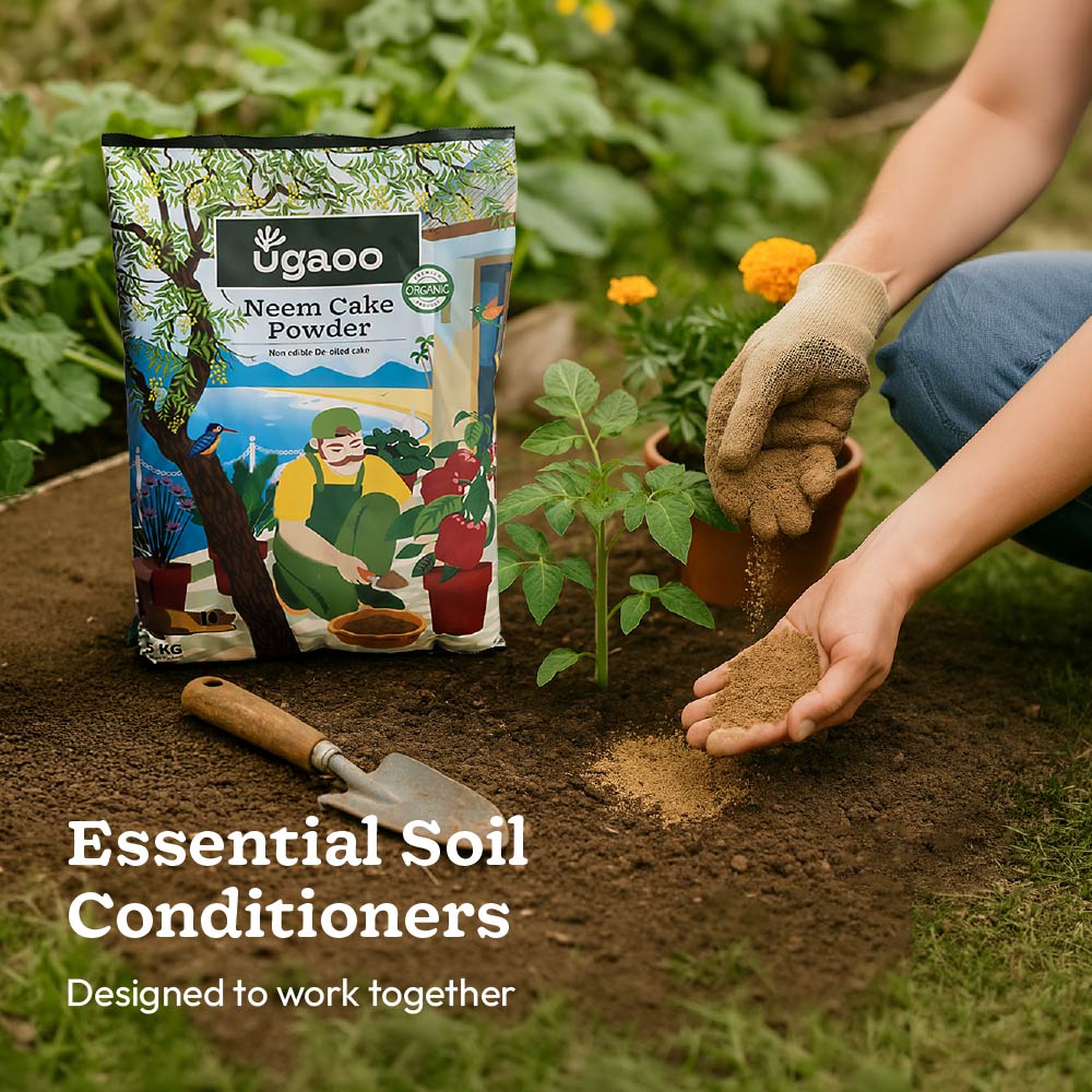 Balanced Soil Nutrition Kit - Image 3