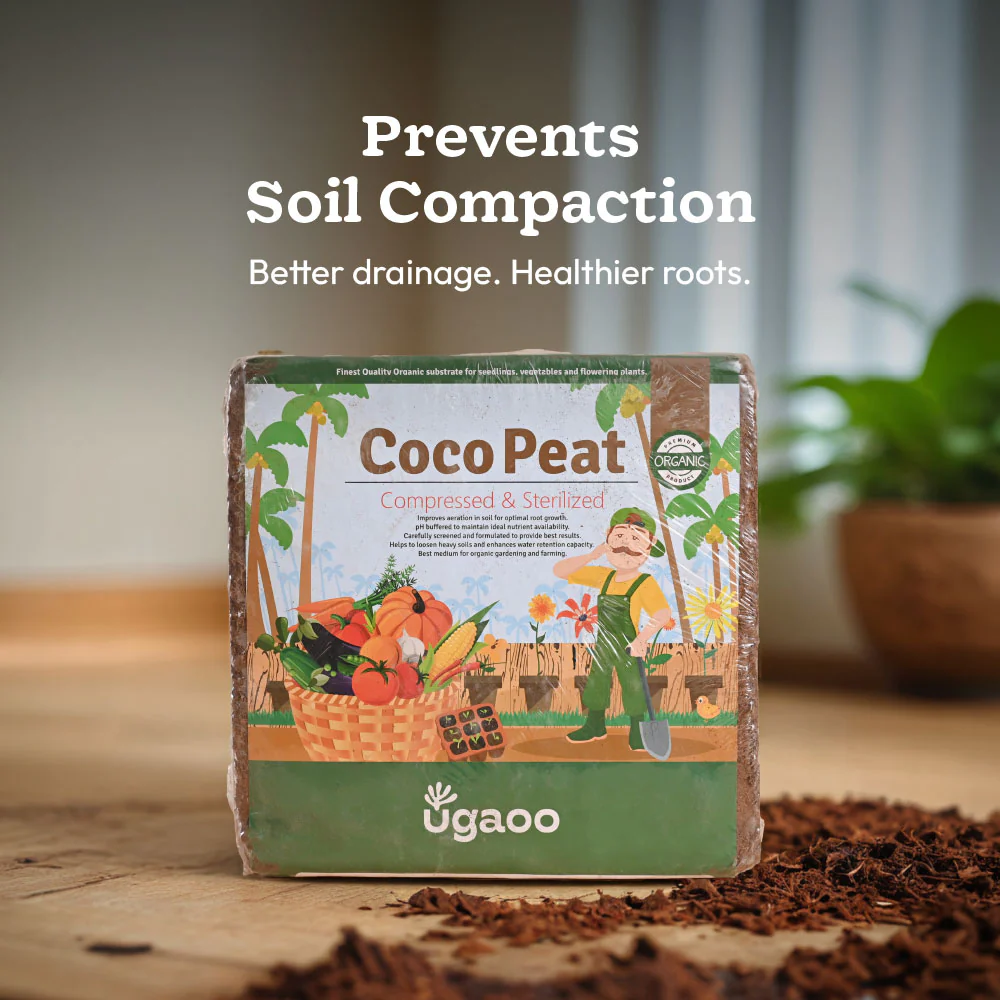 Balanced Soil Nutrition Kit - Image 5