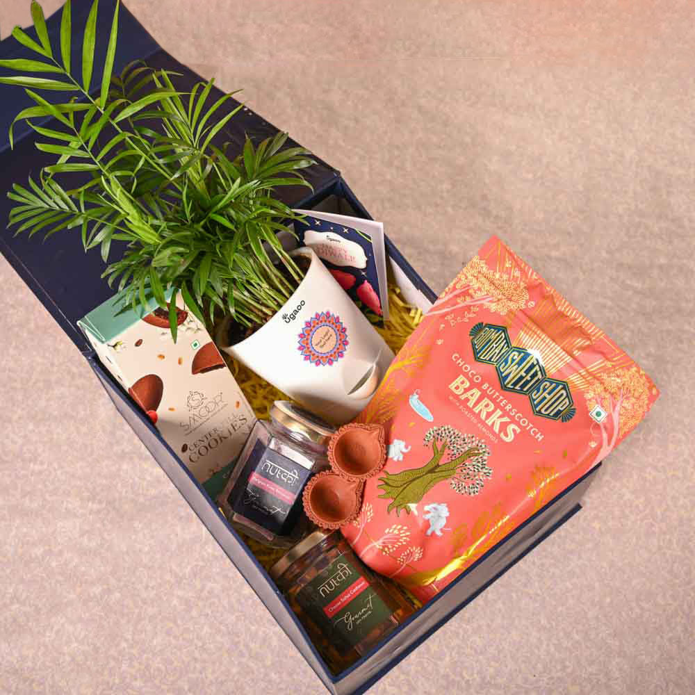Bamboo Palm Plant & Bombay Sweet Shop Diwali Gift Hamper - Image 9