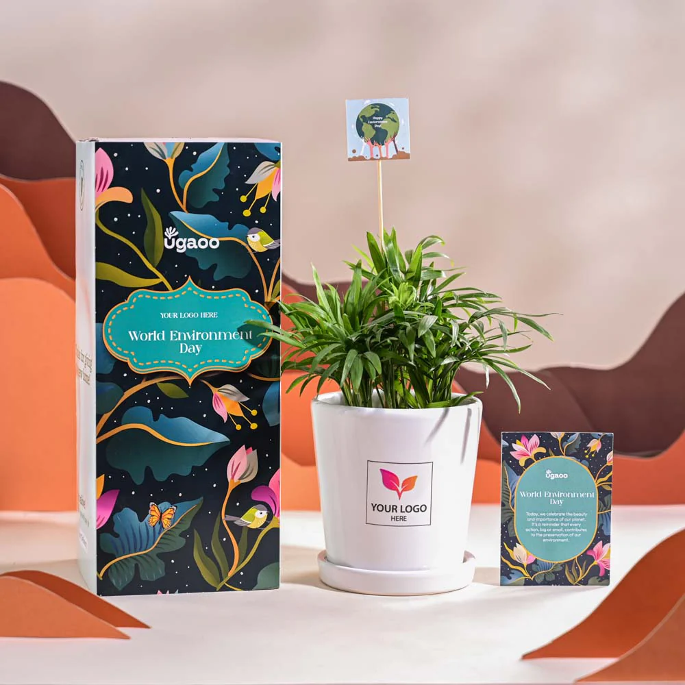Bamboo Palm Plant For Environment Day Gifting - Image 67