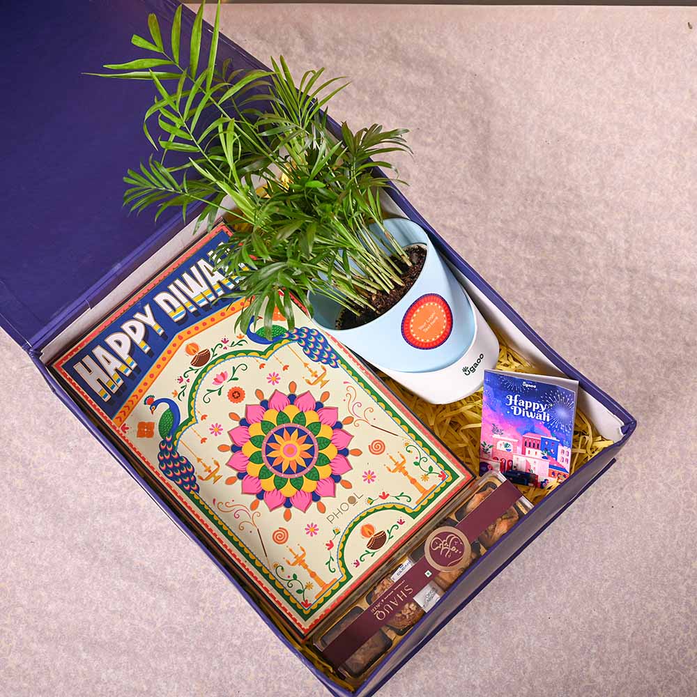 Bamboo Palm Plant & Phool Diwali Gift Hamper - Image 7