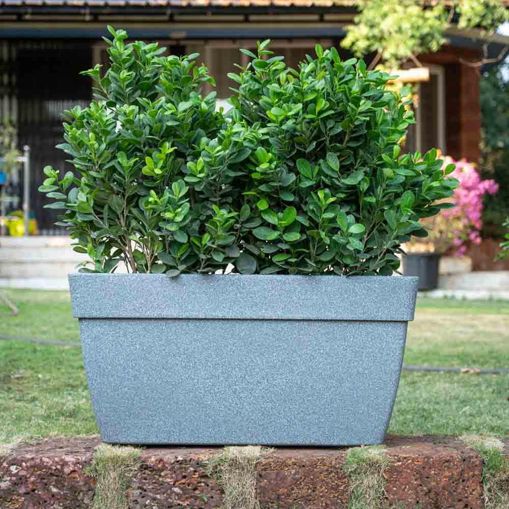 Barca Rectangle Planter - Image 29