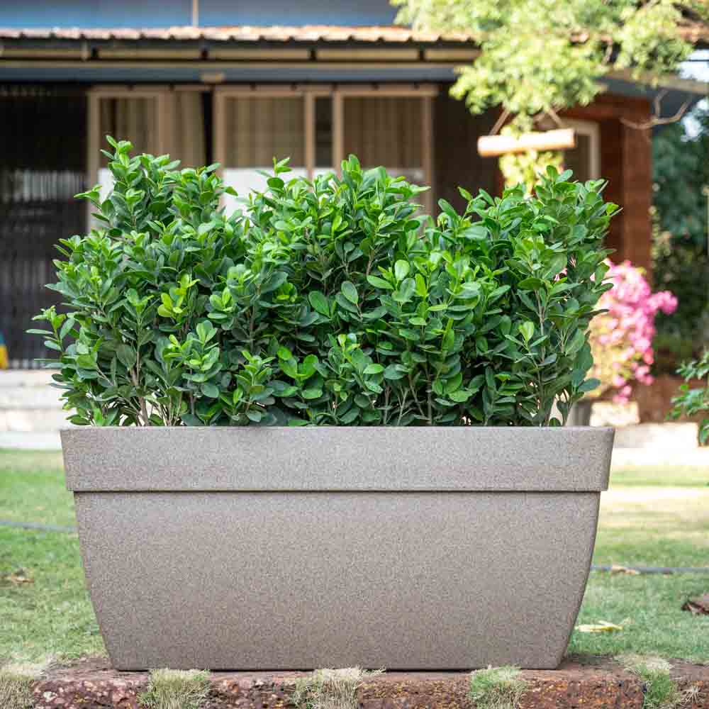 Barca Rectangle Planter - Image 43