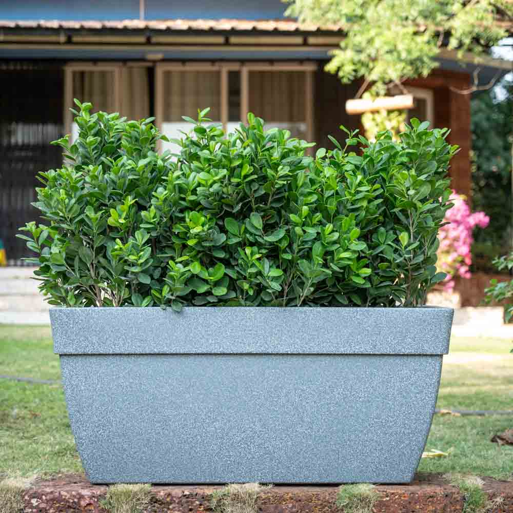 Barca Rectangle Planter - Image 50