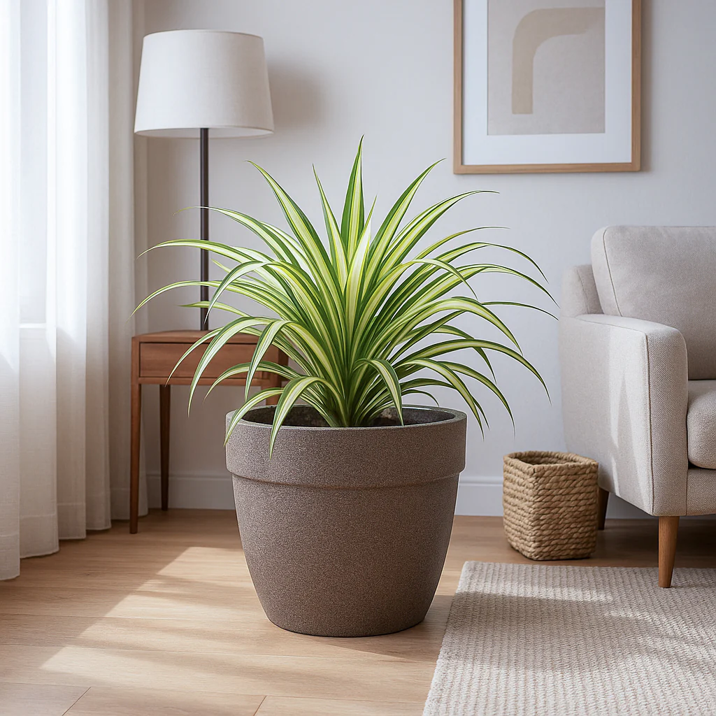 Barca Round Planter - Image 15