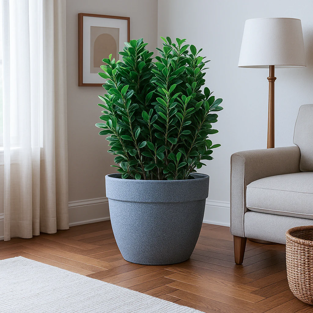Barca Round Planter - Image 29