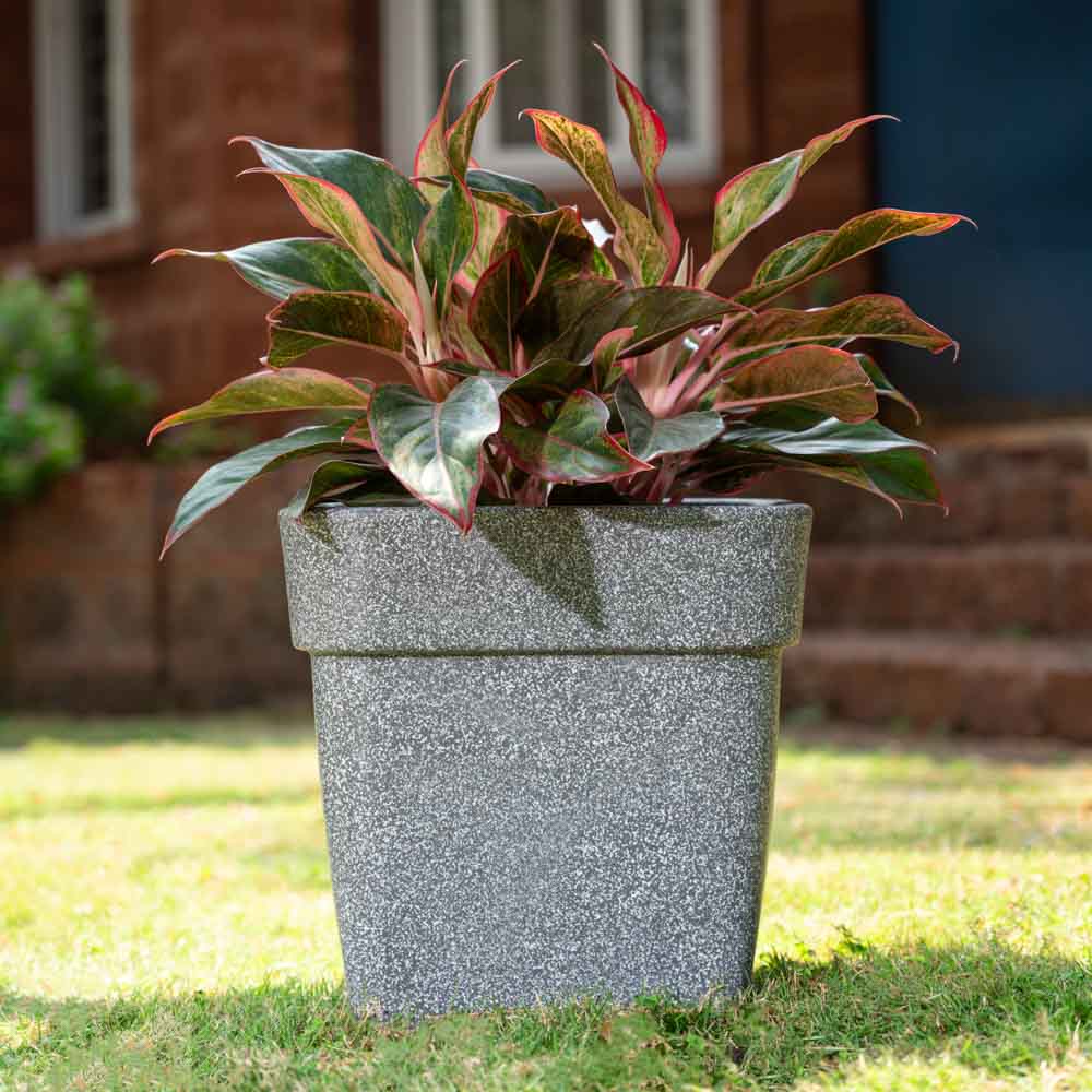 Barca Square Planter - Image 15