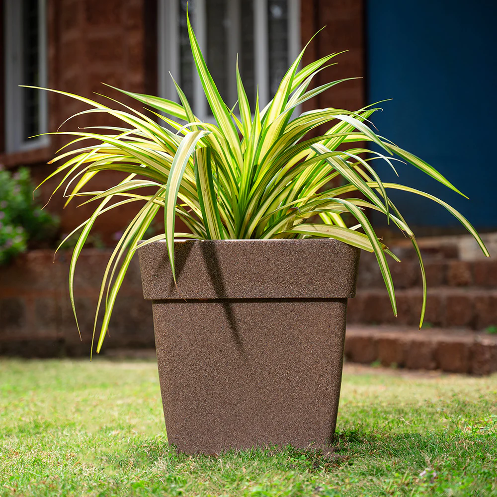 Barca Square Planter - Image 29