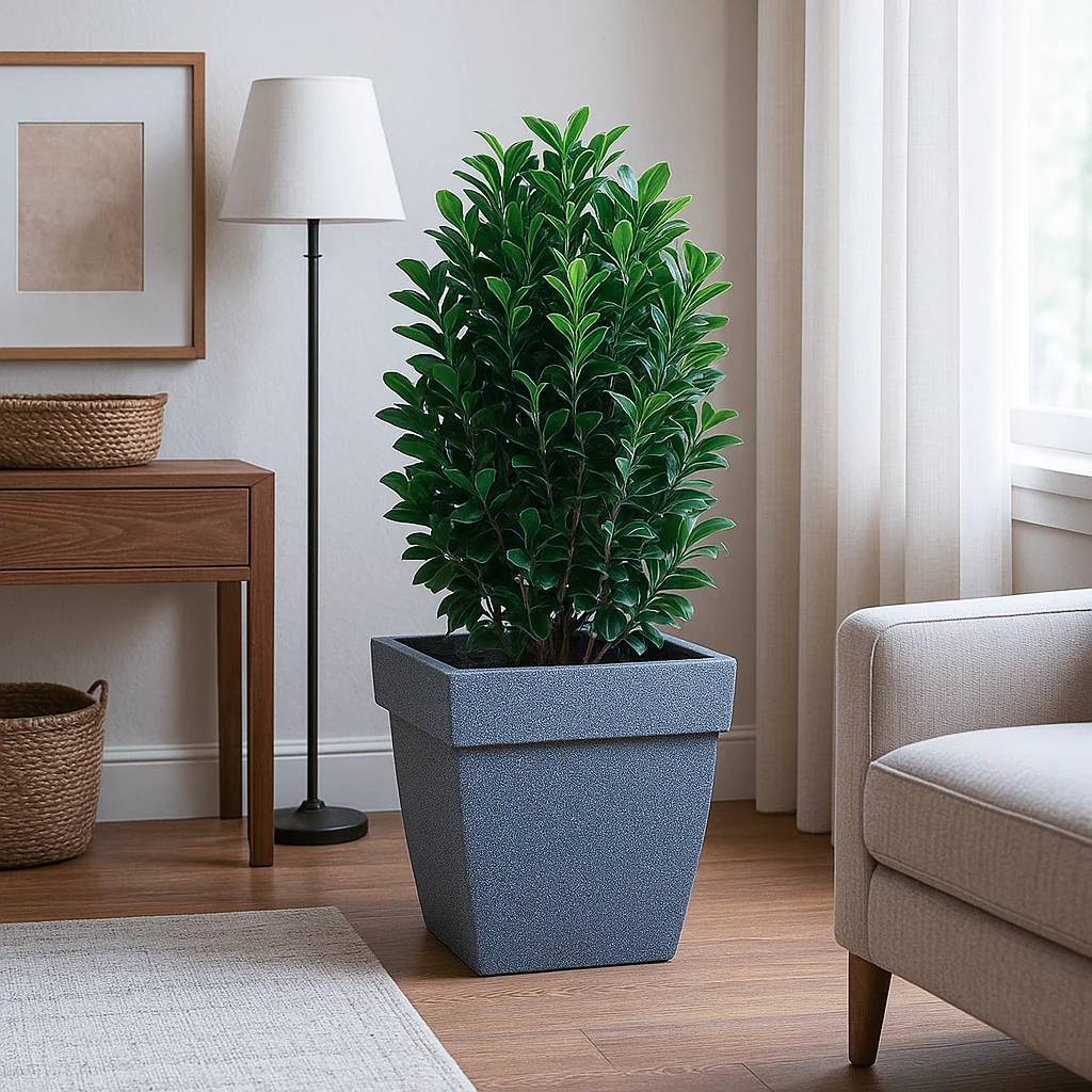 Barca Square Planter - Image 50