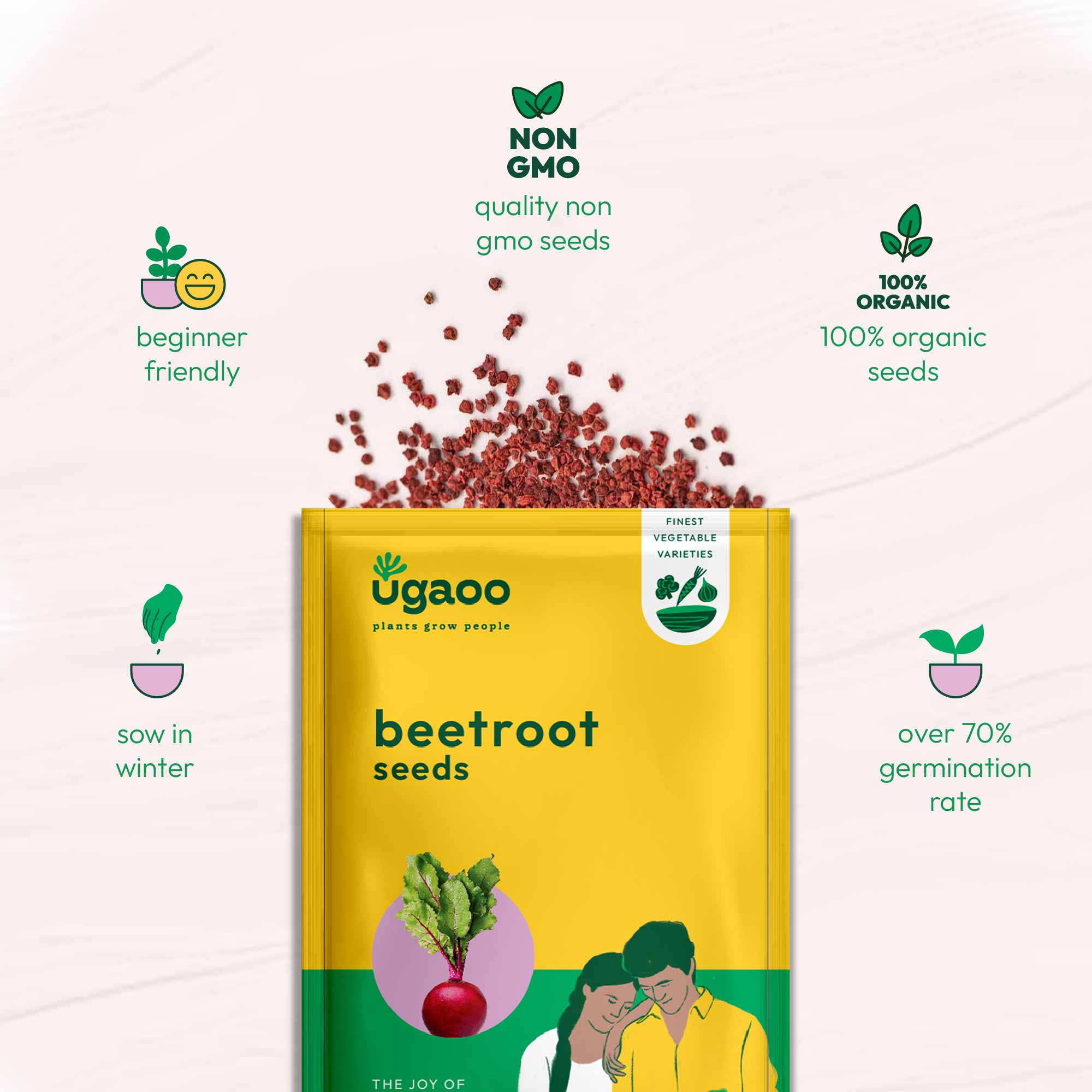 Beetroot Seeds - Image 15