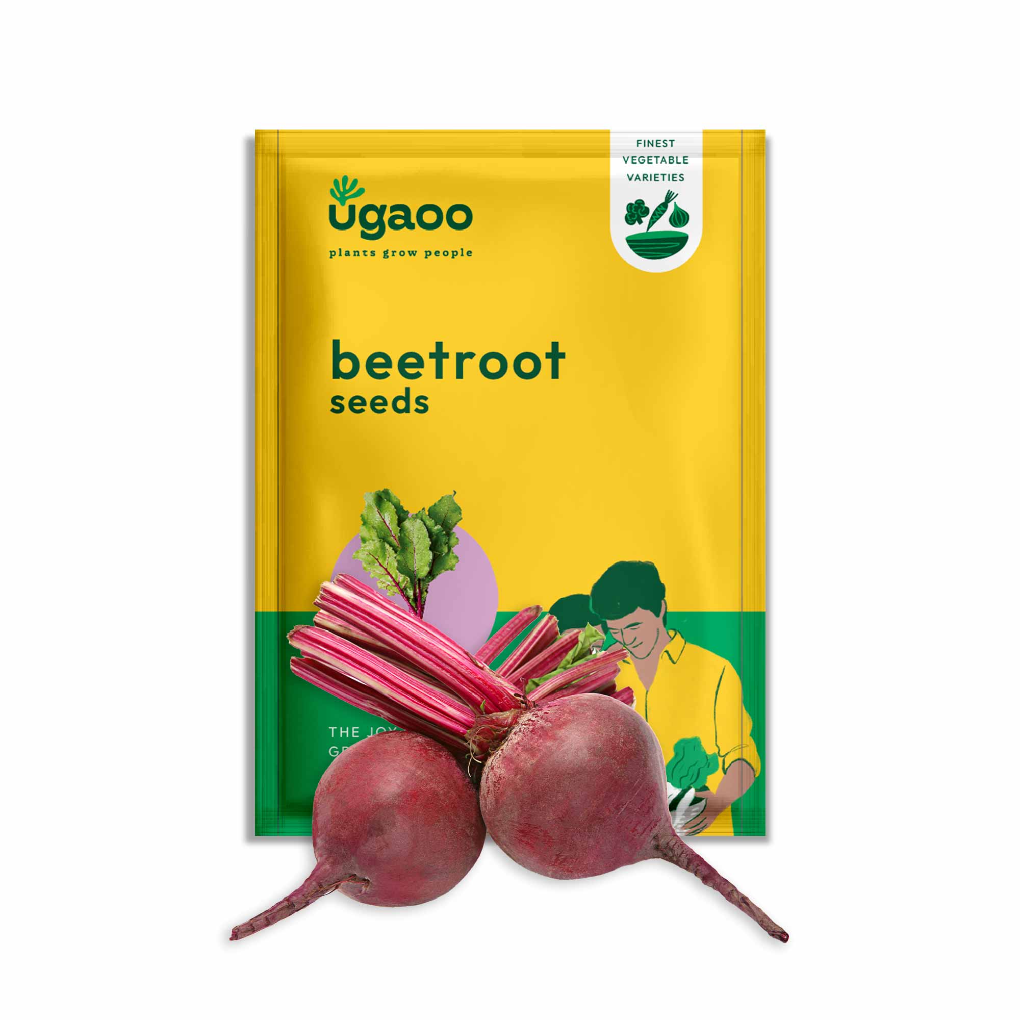Beetroot Seeds - Image 2