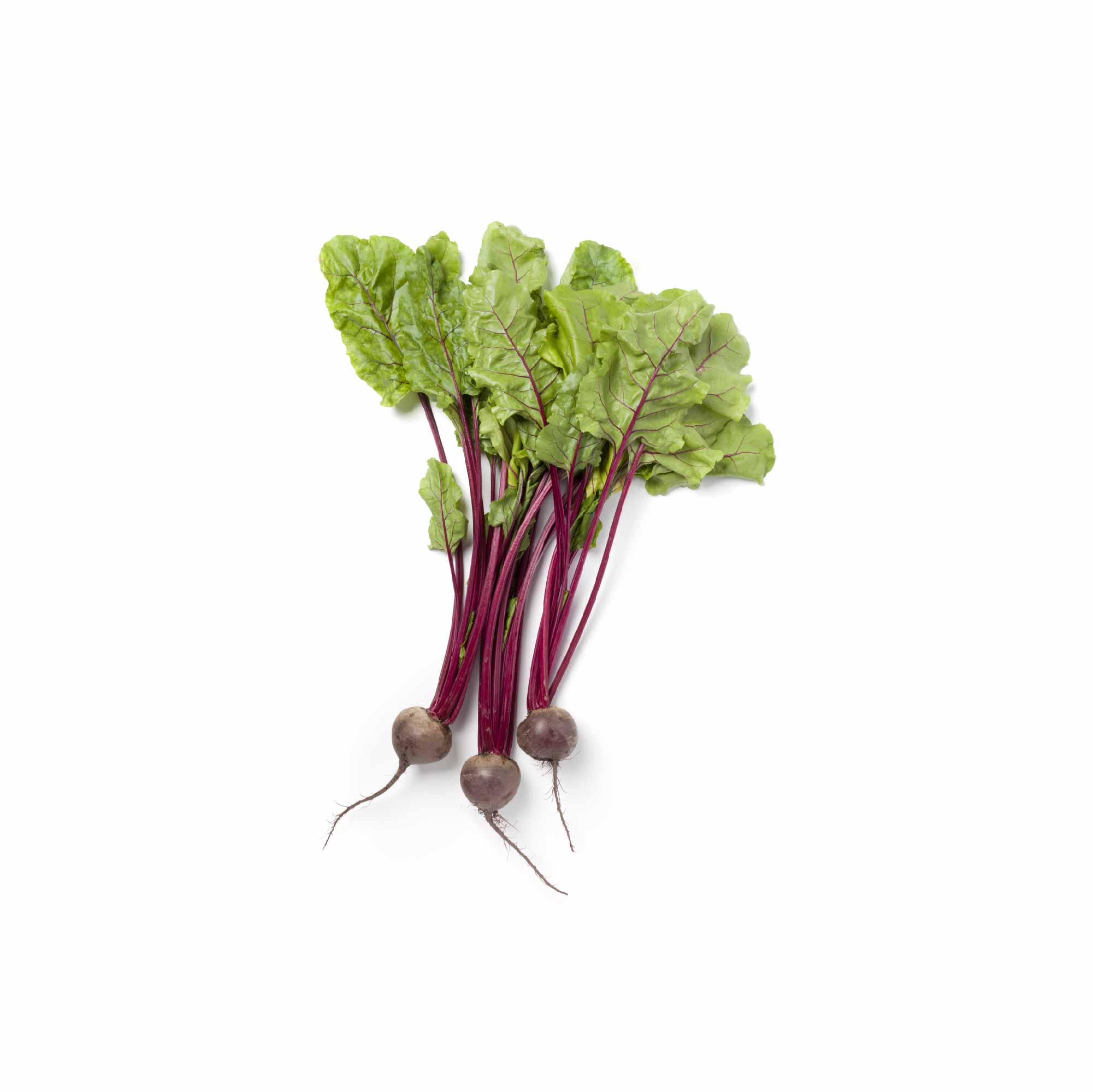 Beetroot Seeds - Image 36