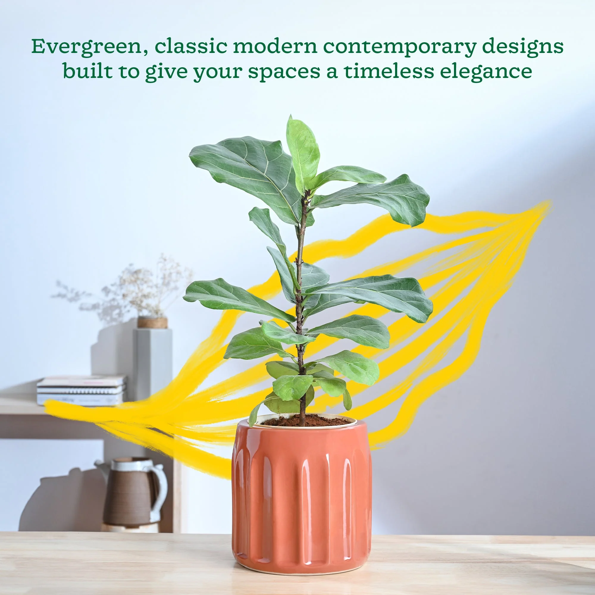 Blushing Sun Ceramic Planter - Image 2