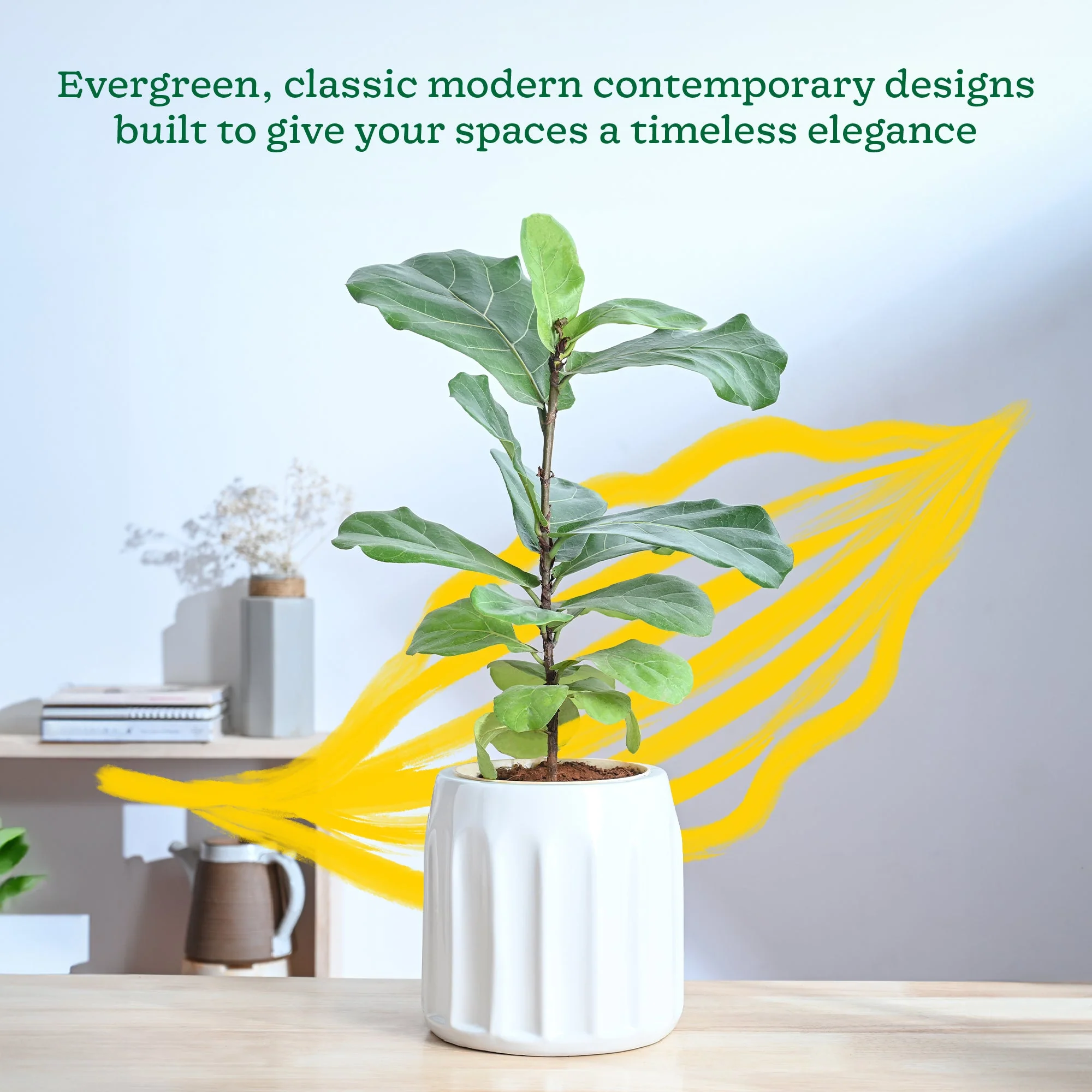 Blushing Sun Ceramic Planter - Image 23